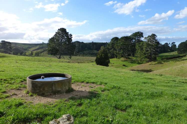 141c Oram Road Mercer_6