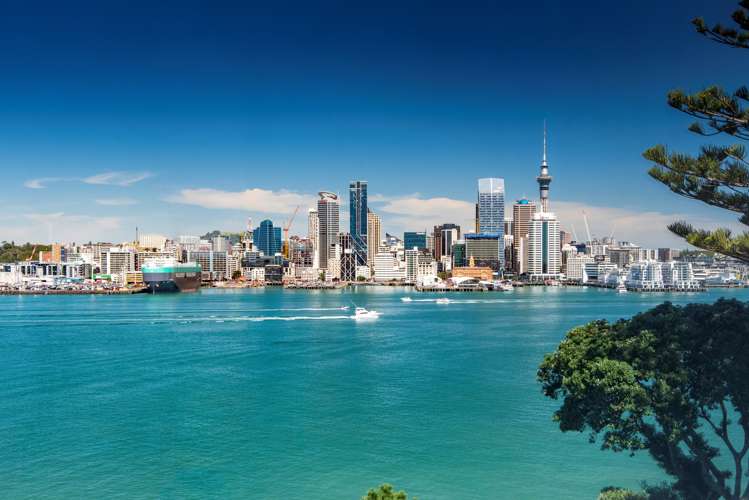 79a Stanley Point Road Stanley Point_0