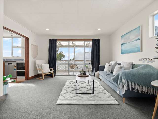 58 Spencer Street Andersons Bay_4