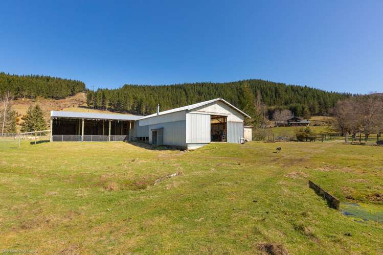 586 Howard Valley Road Kahurangi National Park_6