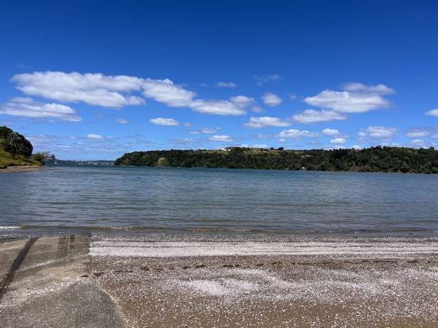 1 Pigeon Place Tawharanui Peninsula_4