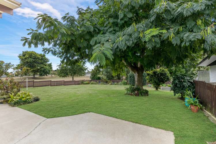 12 Tui Crescent Morrinsville_4