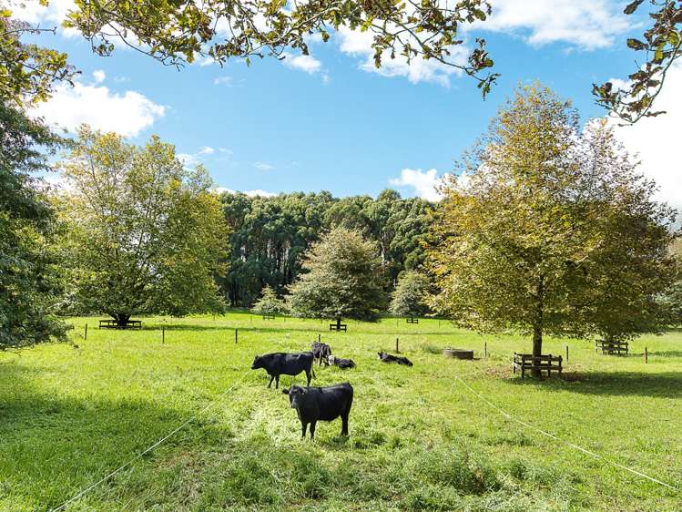 432 Batty Road Karaka_1