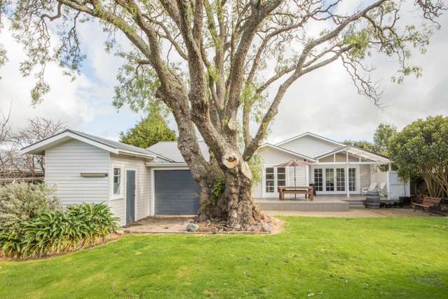 25 Annandale Avenue Takaro_3