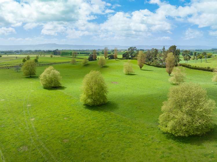 18 Pond Road Matamata_13