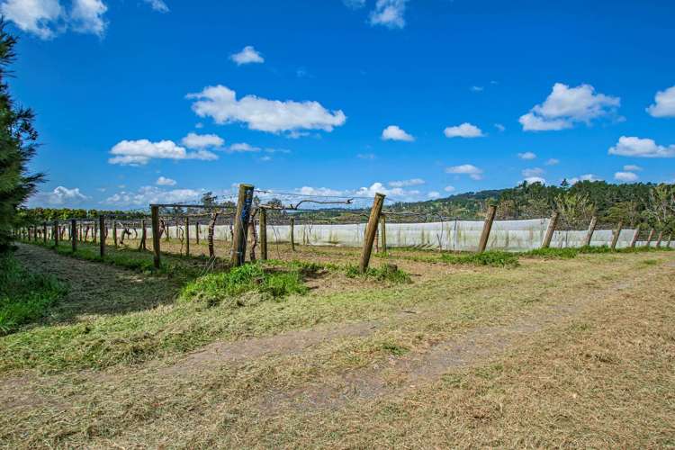 100E Hodge Road Ruatangata_9