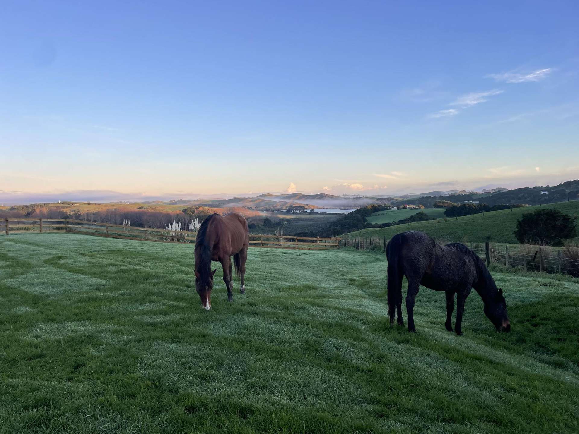 852 Oneriri Road Kaiwaka_0