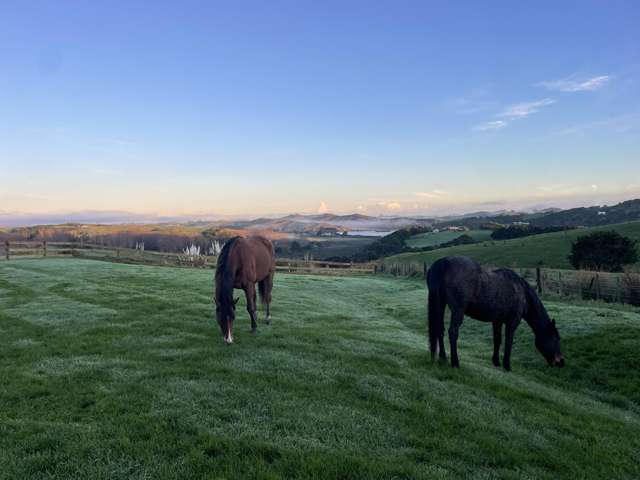 Private, Profitable and Promising