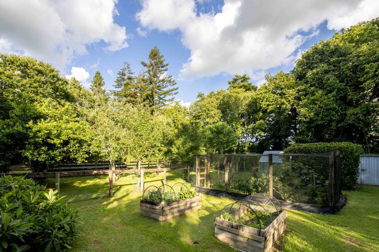 109 Butcher Road Matangi_30