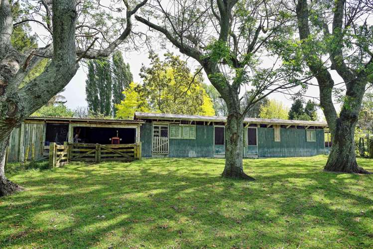 230 Harper Road Makauri_23