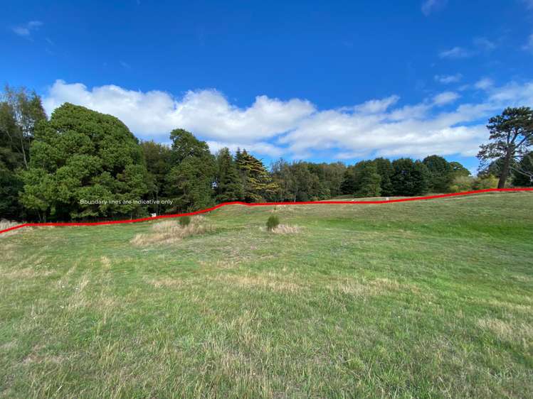 16 Walnut Lane_3