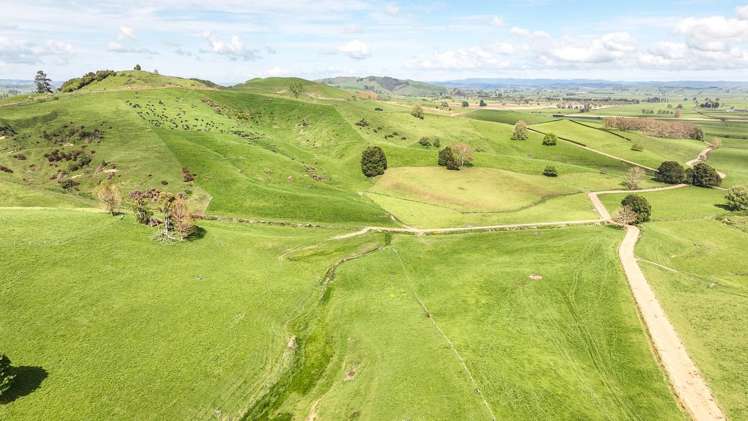 83 Te Kawa Road Te Awamutu_5