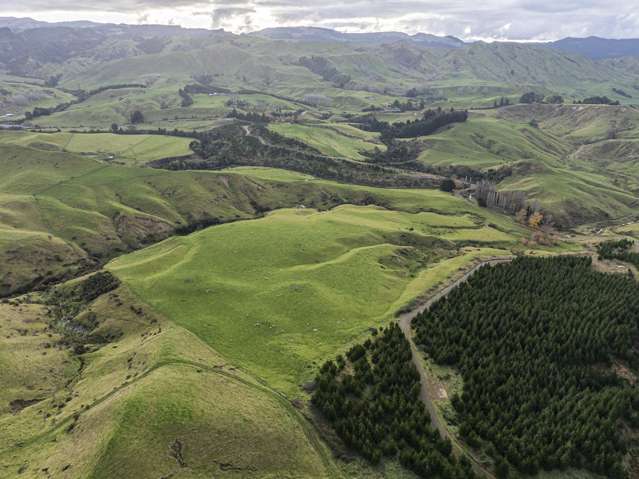 828 Matahorua Road Putorino_4