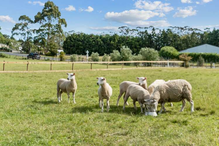 32 Valencia Lane Kerikeri_19