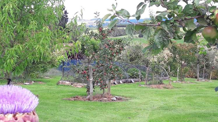 294 Burgess Road Herbert_14