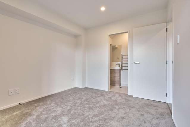 3 Pungarehu Loop Mount Wellington_3