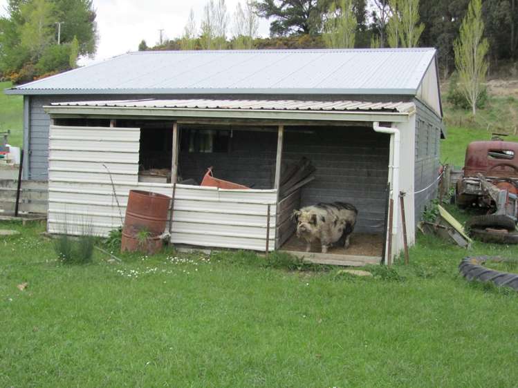 32 Level Street Dipton_21