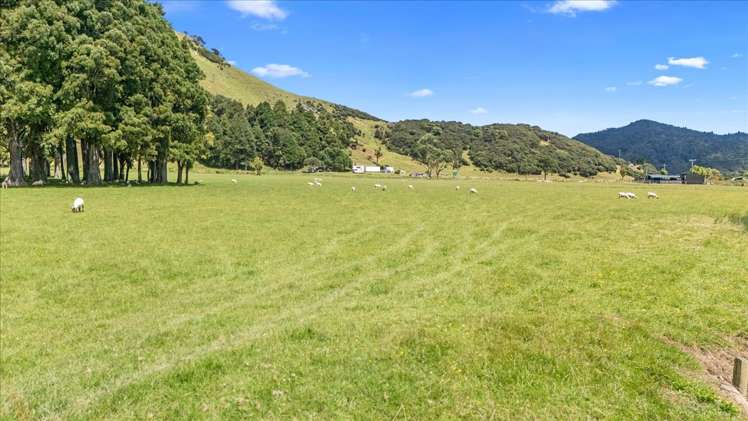 1295 Marokopa Road Marokopa_12