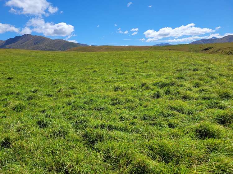 72 Wrights Road Waitaki_6