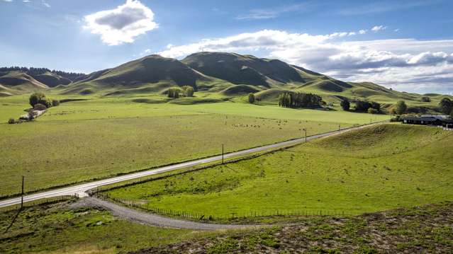 1427 Middle Road Poukawa_1