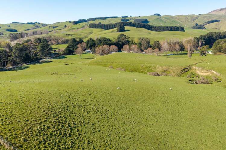 467 Waitahora Valley Road Dannevirke_14