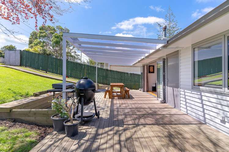 64 Taupo Street Green Bay_6