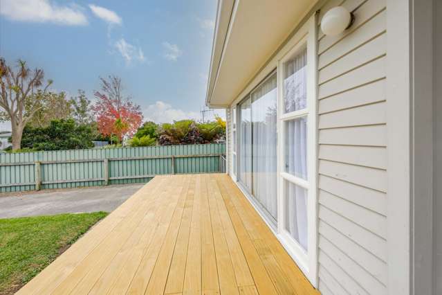 37 Alexander Avenue Onekawa_1