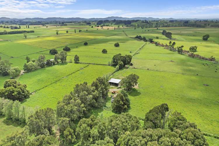 738 State Highway 23 Whatawhata_6