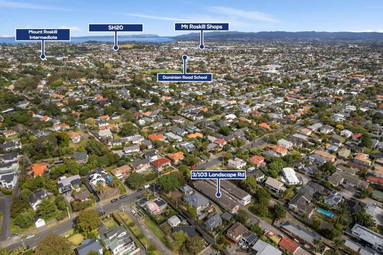 3/103 Landscape Road Mt Eden_14