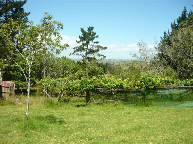 843 Whakapirau Road Whakapirau_5