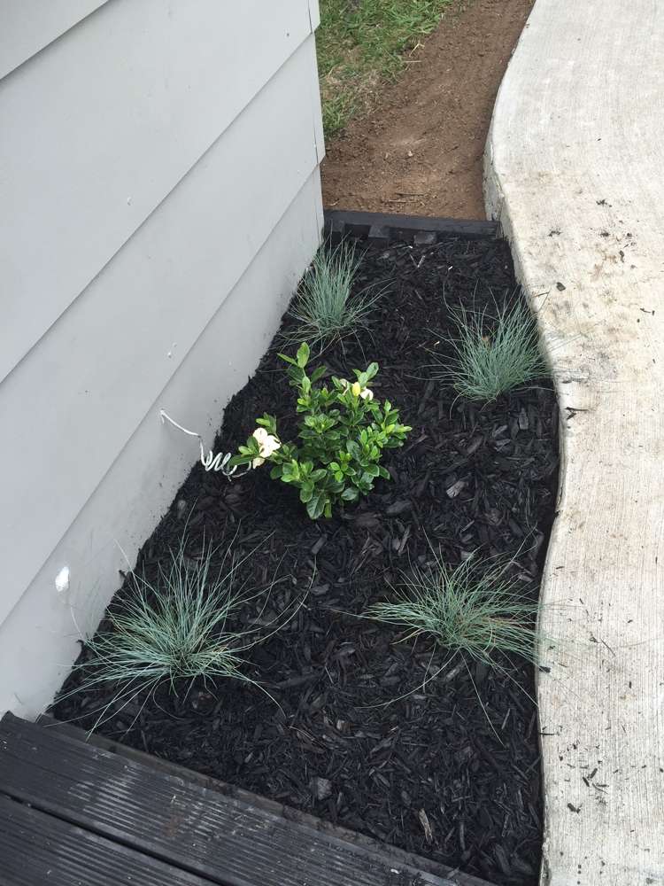 83 Brightside Road Stanmore Bay_3