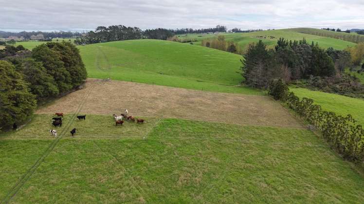 Lot 14 Ness Road Waipapa_6