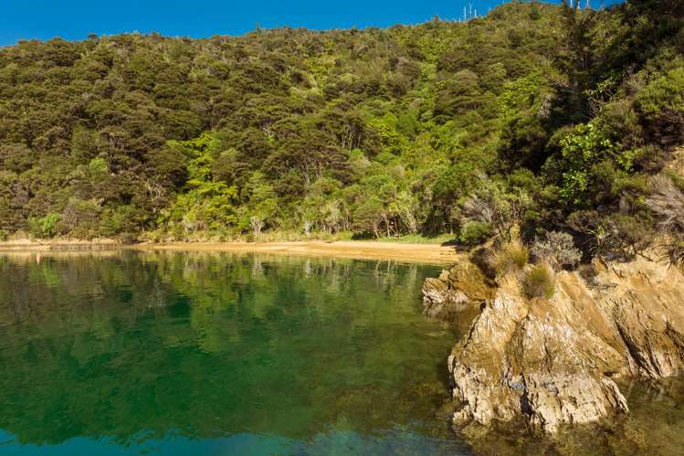 Cherry Bay, Ruakaka Bay Marlborough Sounds_25