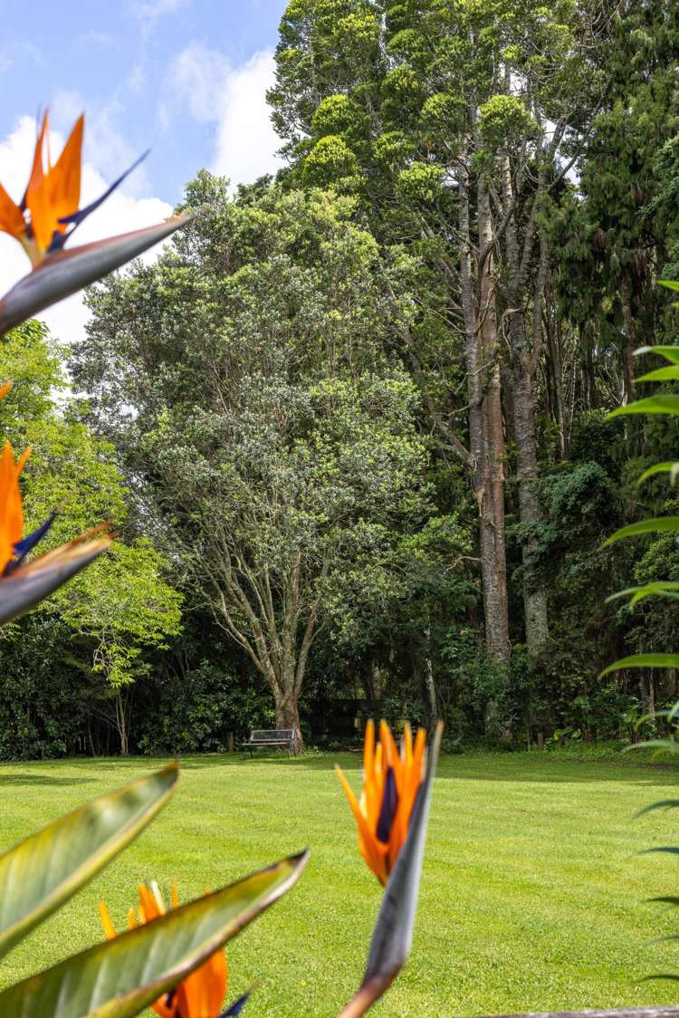 1174 Kahikatea Flat Road Waitoki_45