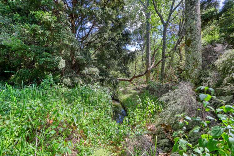 33a Waiotahi Drive Mangawhai_17