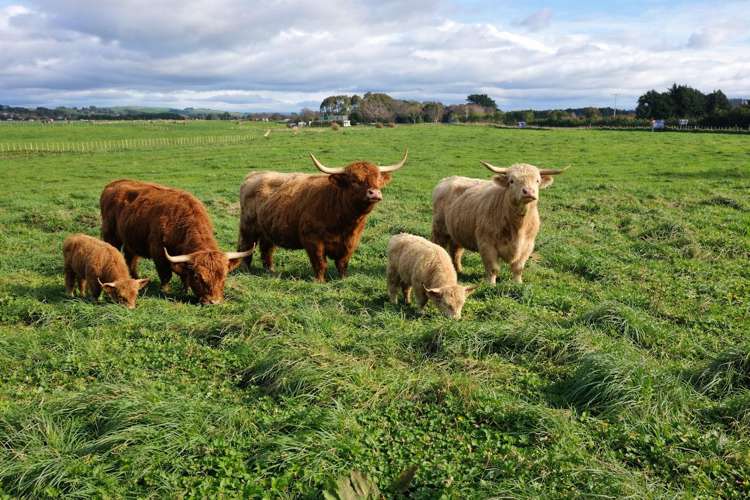 12A Pahiatua Pongaroa Road_0