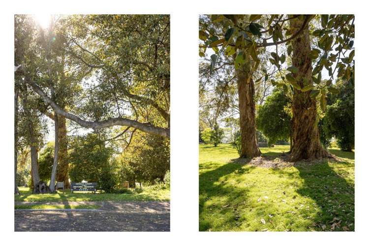 5 Gellibrand Place Omokoroa_26