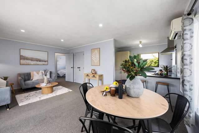 211B Te Rapa Road Beerescourt_3