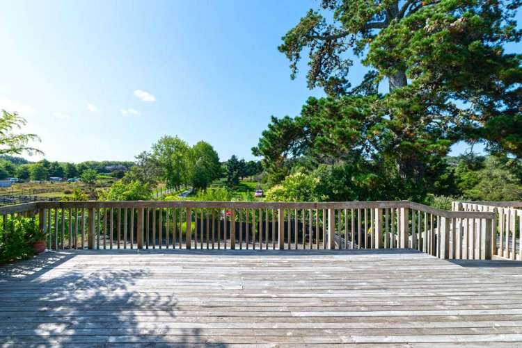 212 Pine Valley Road Dairy Flat_6