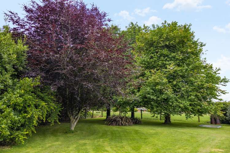 77 Platt Road Tauwhare_29