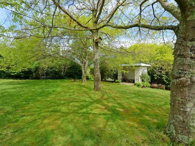 167 Katherine Mansfield Drive Whitemans Valley_5