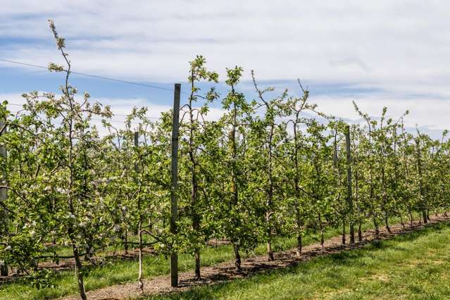 119 Parkhill Road Haumoana_3