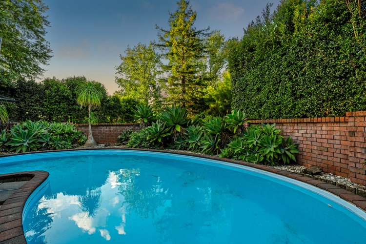 774 Dairy Flat Highway Dairy Flat_9