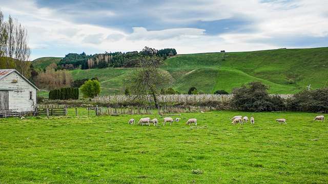 118 Wenley Road Raukawa_3