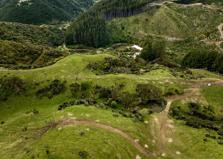 101b Bulls Run Road Moonshine Valley_24