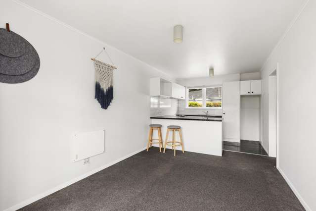 6/238 Muritai Road Eastbourne_4