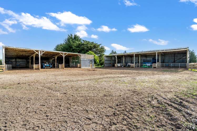 917 Rakahouka-Hedgehope Road Mabel Bush_15