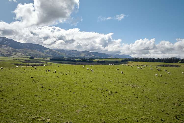 3429 Inland Kaikoura Road Mt Lyford_28