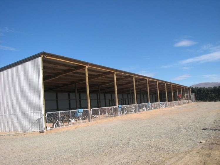 62 Harveys Road Island Cliff_8