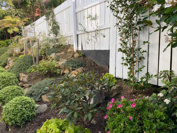 18d Lawson Street Roslyn_15